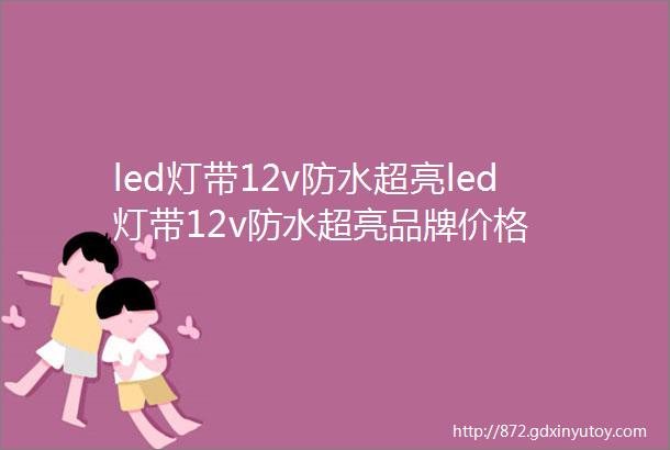 led灯带12v防水超亮led灯带12v防水超亮品牌价格