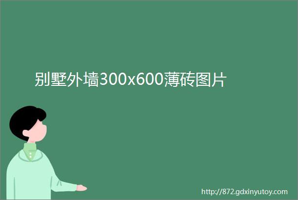 别墅外墙300x600薄砖图片