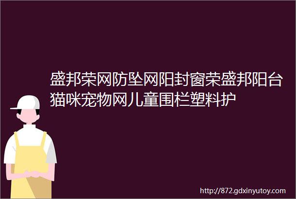 盛邦荣网防坠网阳封窗荣盛邦阳台猫咪宠物网儿童围栏塑料护