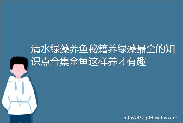 清水绿藻养鱼秘籍养绿藻最全的知识点合集金鱼这样养才有趣